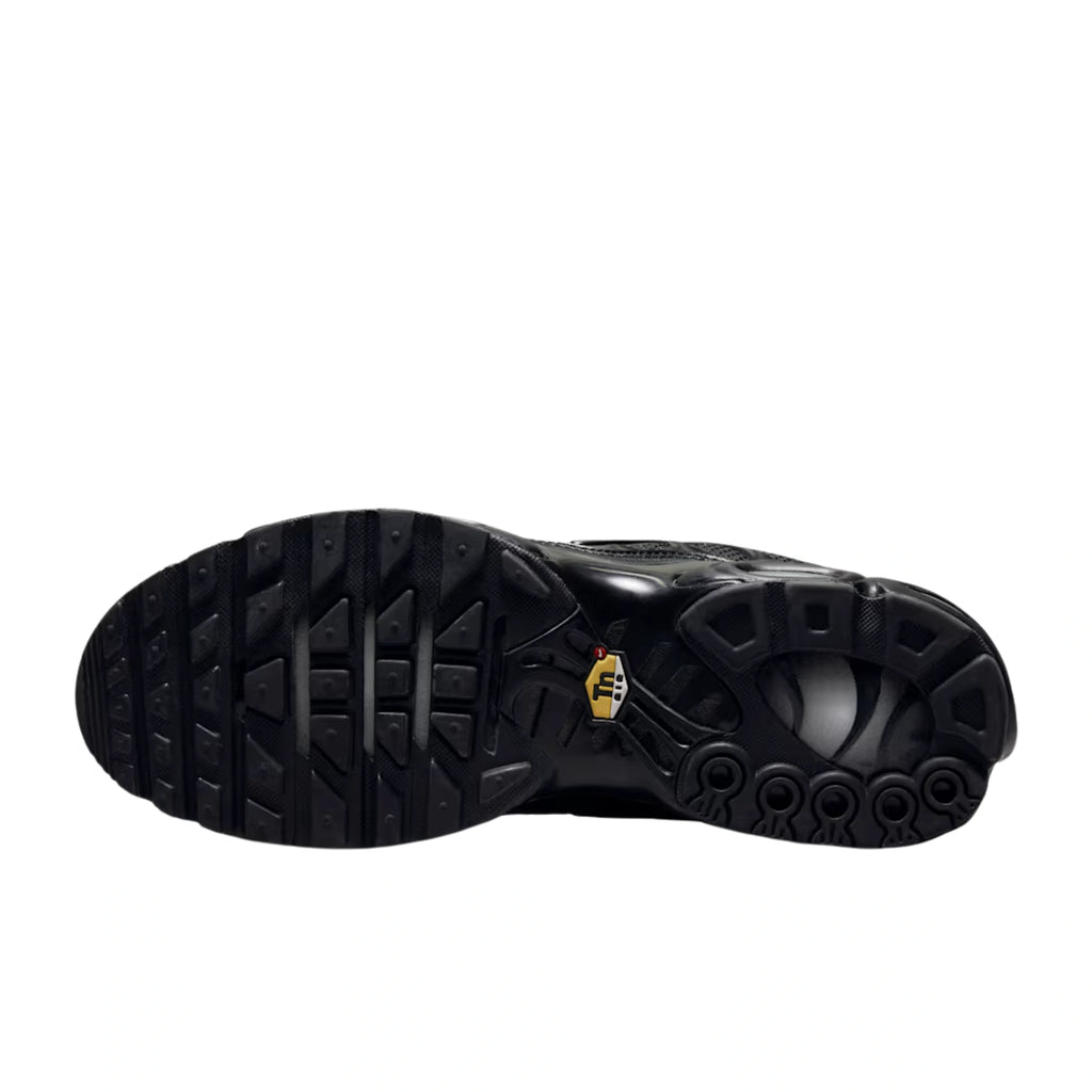 AIR MAX PLUS TRIPLE BLACK