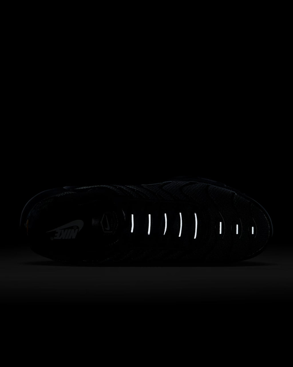 AIR MAX PLUS TRIPLE BLACK