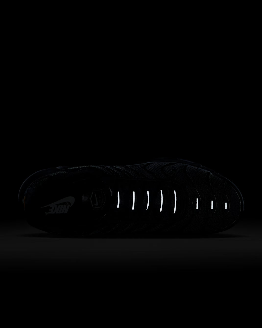 AIR MAX PLUS TRIPLE BLACK